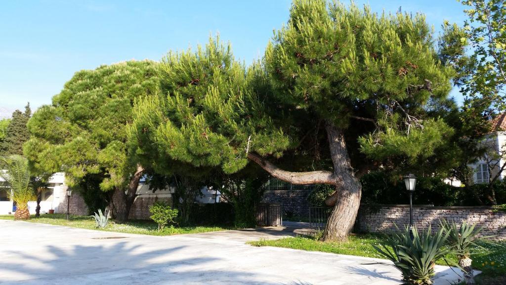 Villa Jadran Apartments Бар Екстериор снимка